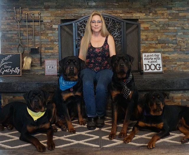 Looking for Rottweiler Kennels in PA? (Start Here!)