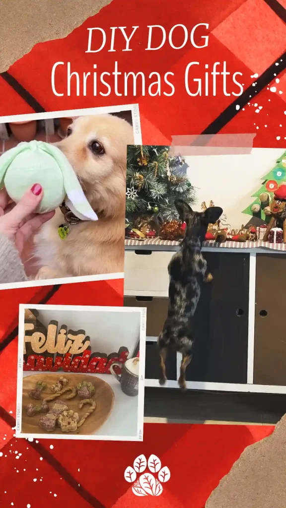 DIY Christmas Pet Toys: Easy & Creative Ideas for Homemade Gifts!