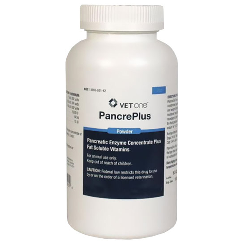 Using PancrePlus Powder for Dogs & Cats: Simple Tips & Tricks