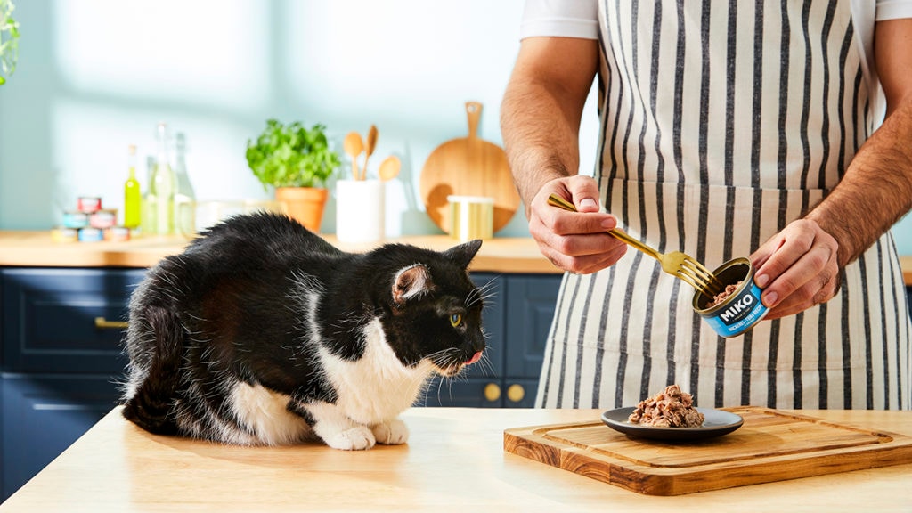 Choosing Wet Chicken Cat Food: What to Look for!