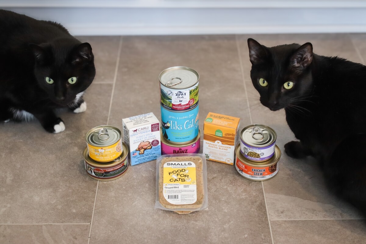 Best Wet Cat Food? See Why Catperson is a Top Choice!