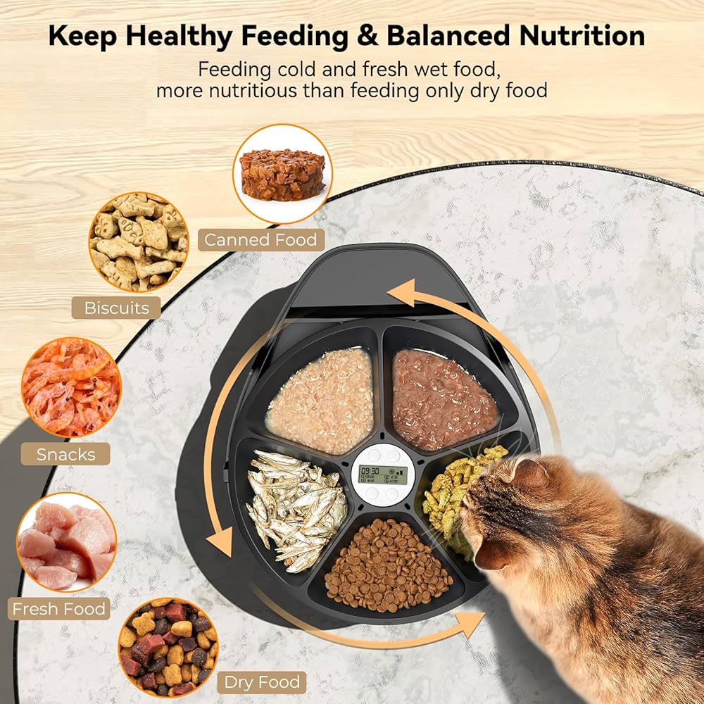 Wet Pet Food Feeder Benefits: Healthy Meal for pets?
