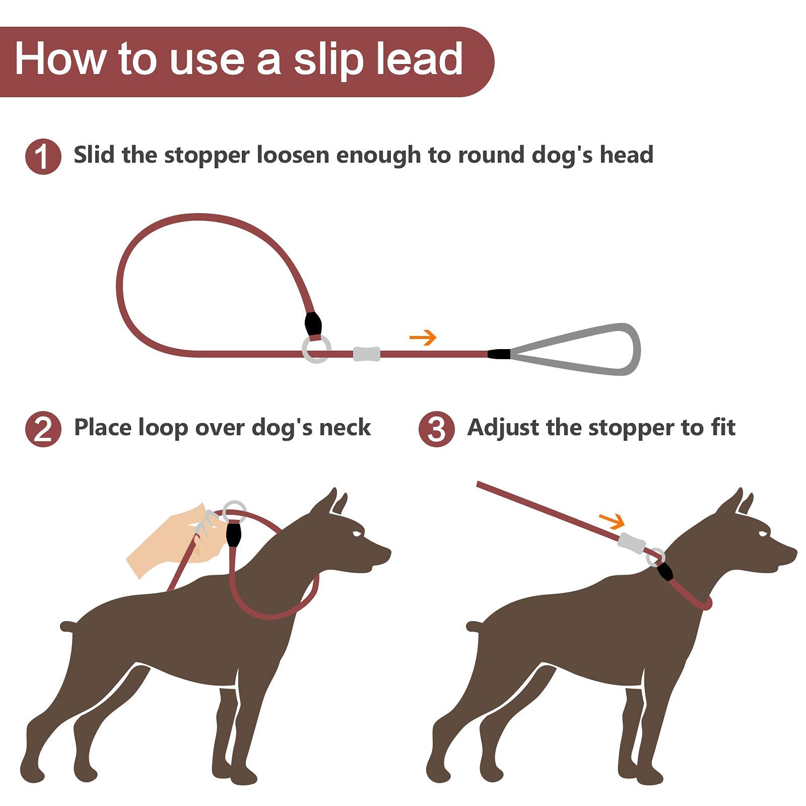 How to use a rope slip lead for dogs correctly? Simple steps for safe and effective walks.