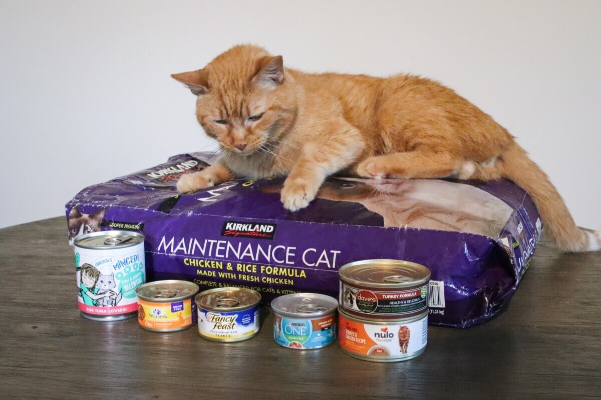 Affordable Wet Chicken Cat Food: Great Options on a Budget.