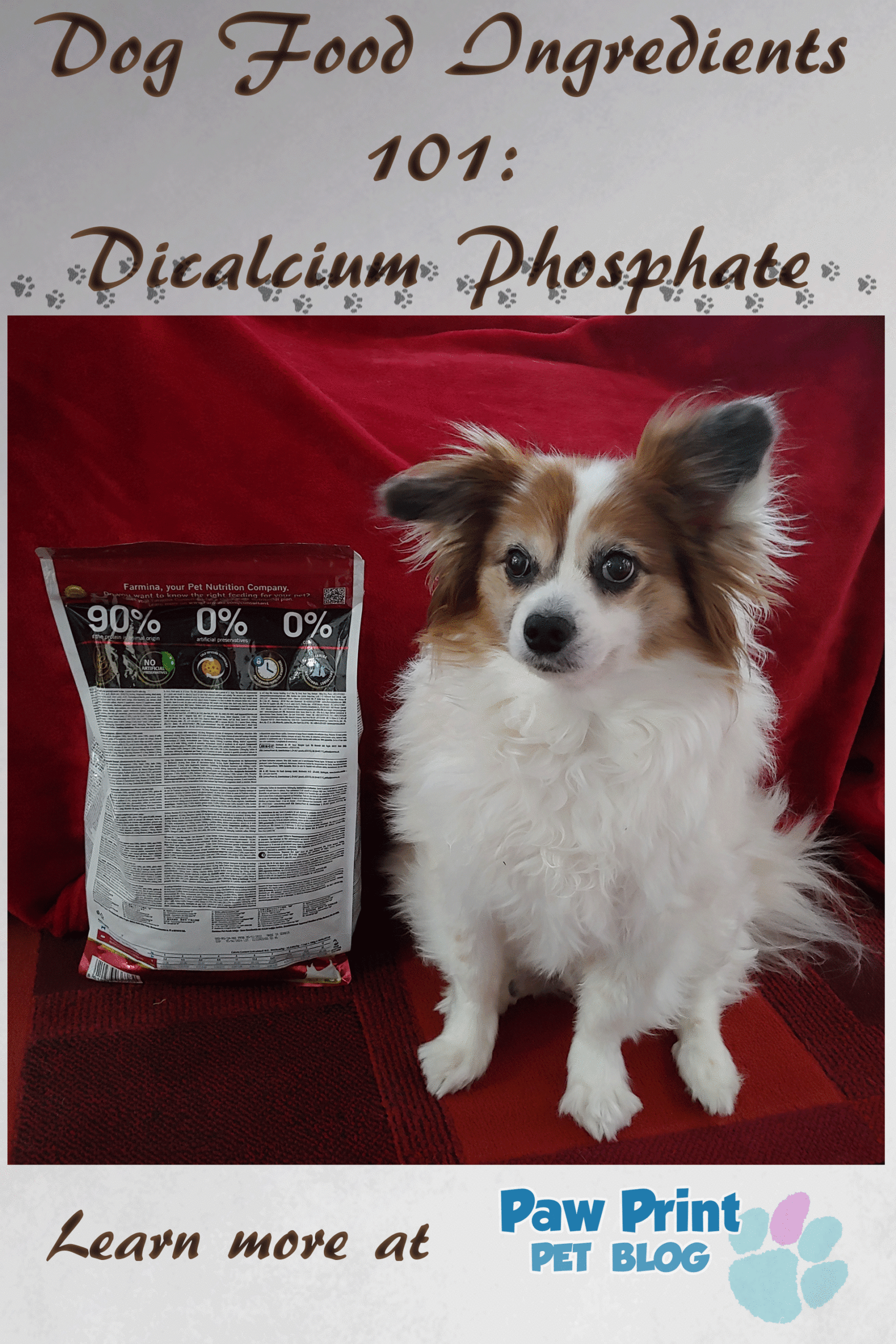 Dicalcium Phosphate: Safe or Harmful for Dogs, lets find out.
