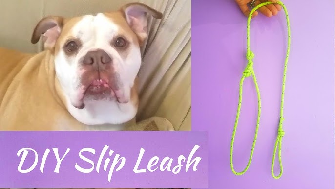 DIY dog lead rope slip:make your own-simple steps!
