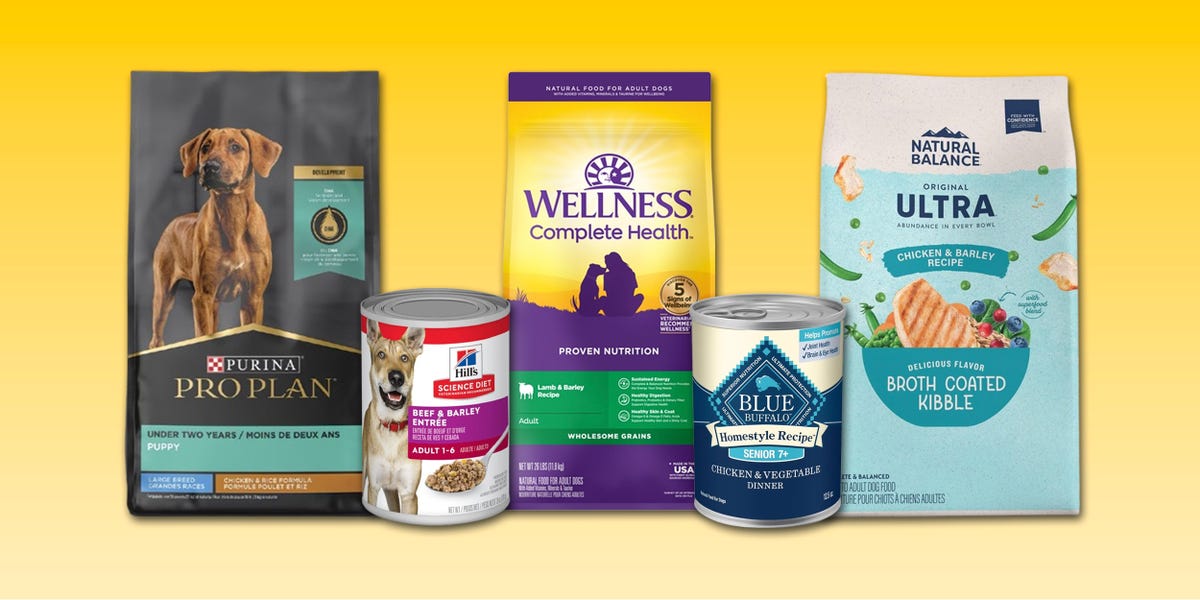 Best Beef and Barley Dog Food: Top Brands Reviewed (2024)