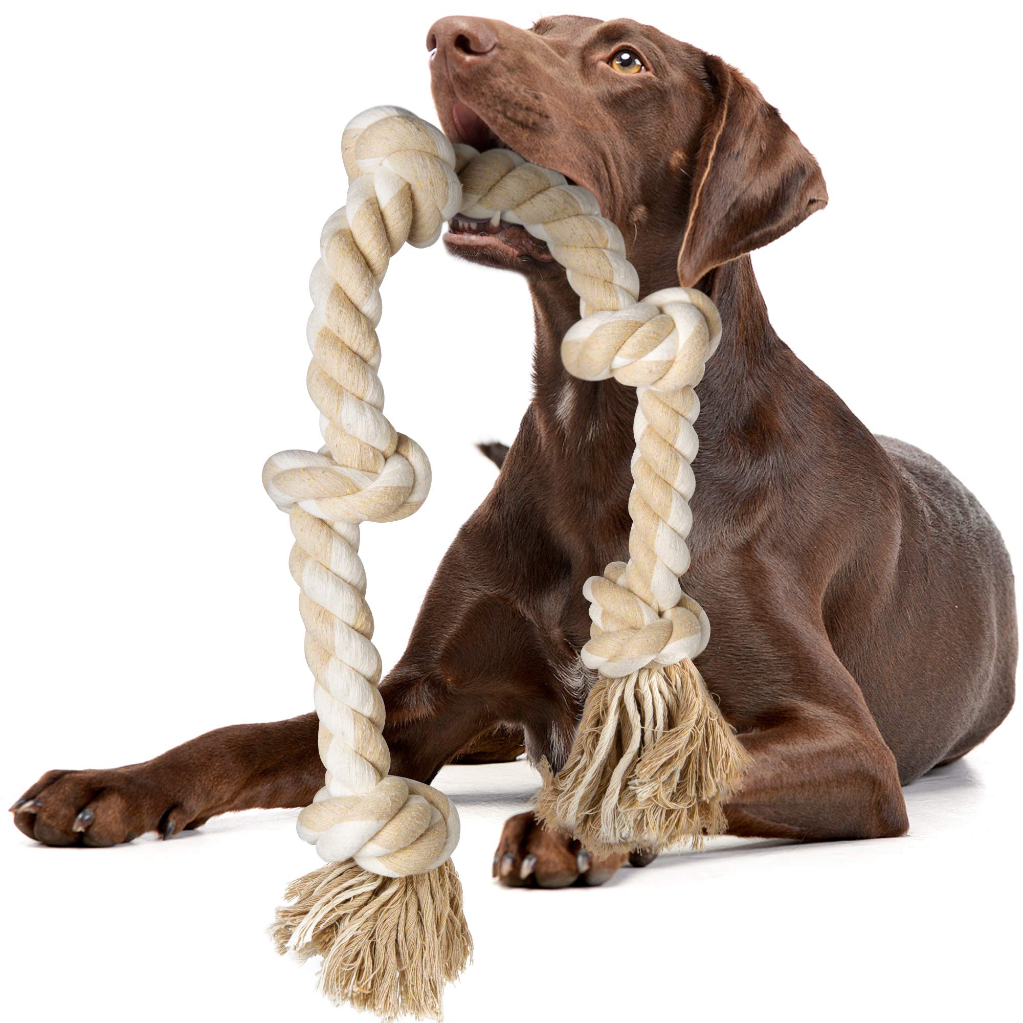 Durable Rope Dog Toys for Aggressive Chewers: A Buyers Guide.