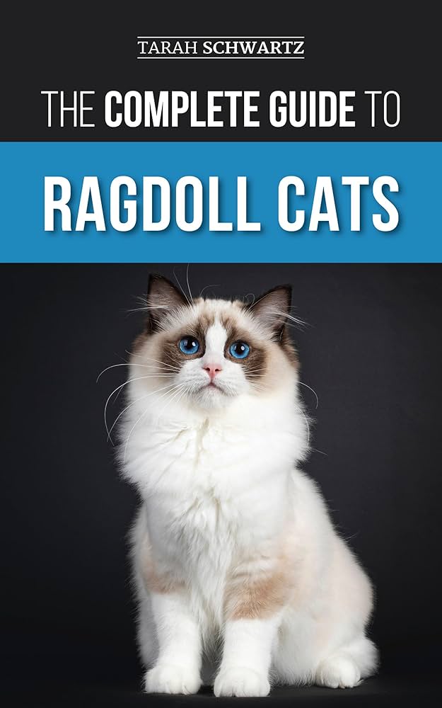 Exploring Different Color Ragdoll Cats: A Complete Guide.