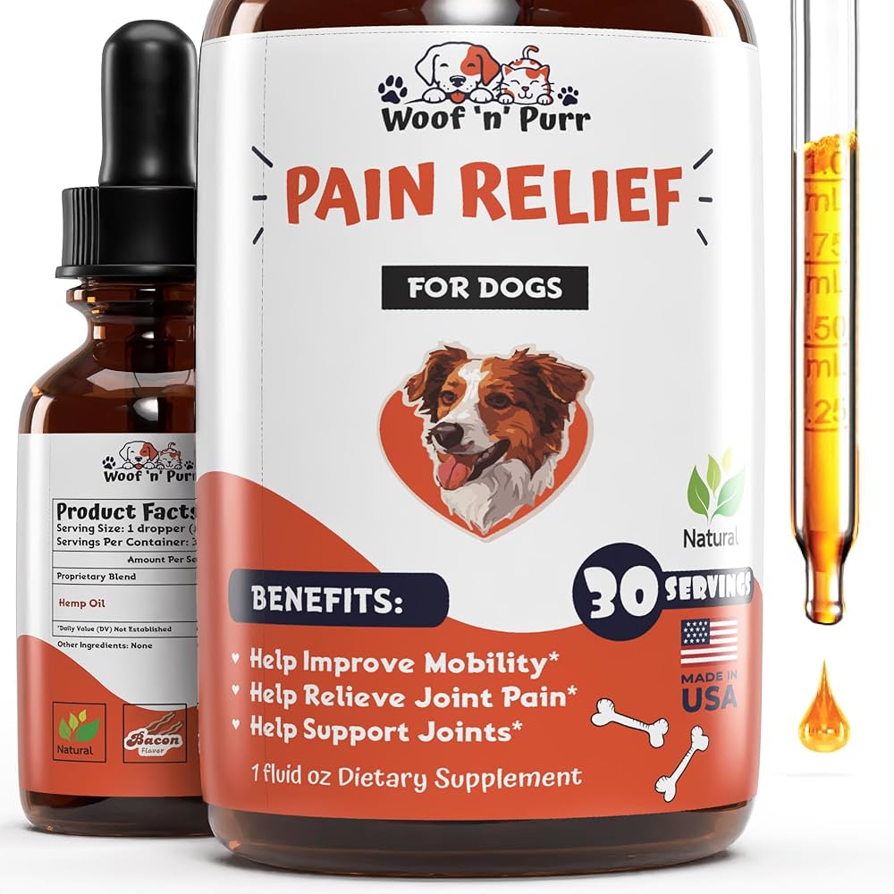Do pills for dogs joints really help ease pain? Understanding the main benefits for your furry friend.