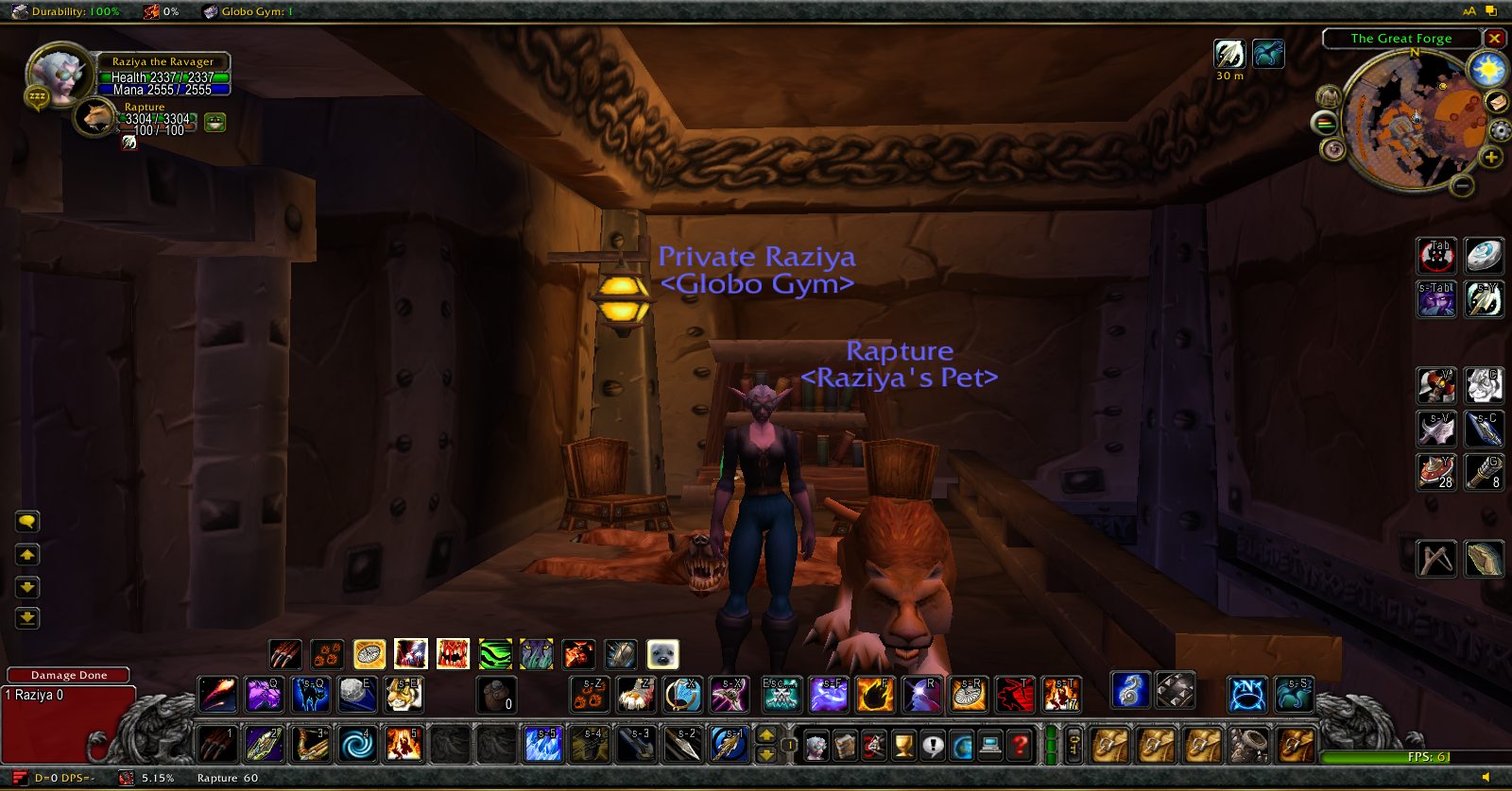 Fastest Feed Pet Macro WoW Classic: Hunter Tips!