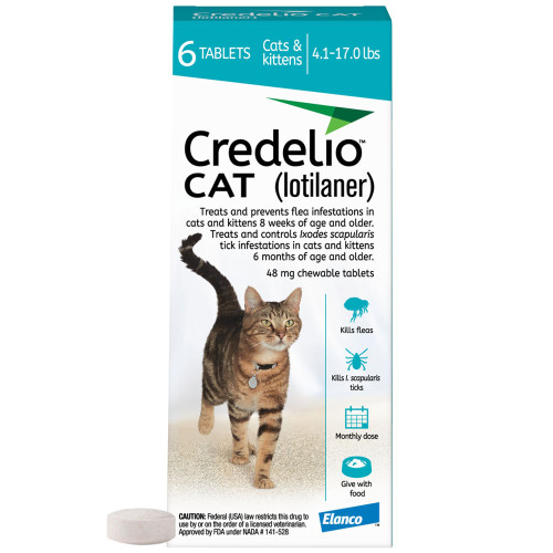 Credelio for Cats Reviews: Real Owners Share Honest Feedback!
