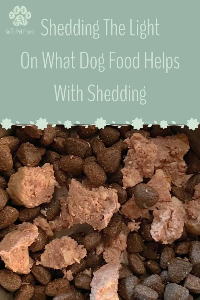 Dog Food to Stop Shedding: Best Picks to Reduce Fur Loss!