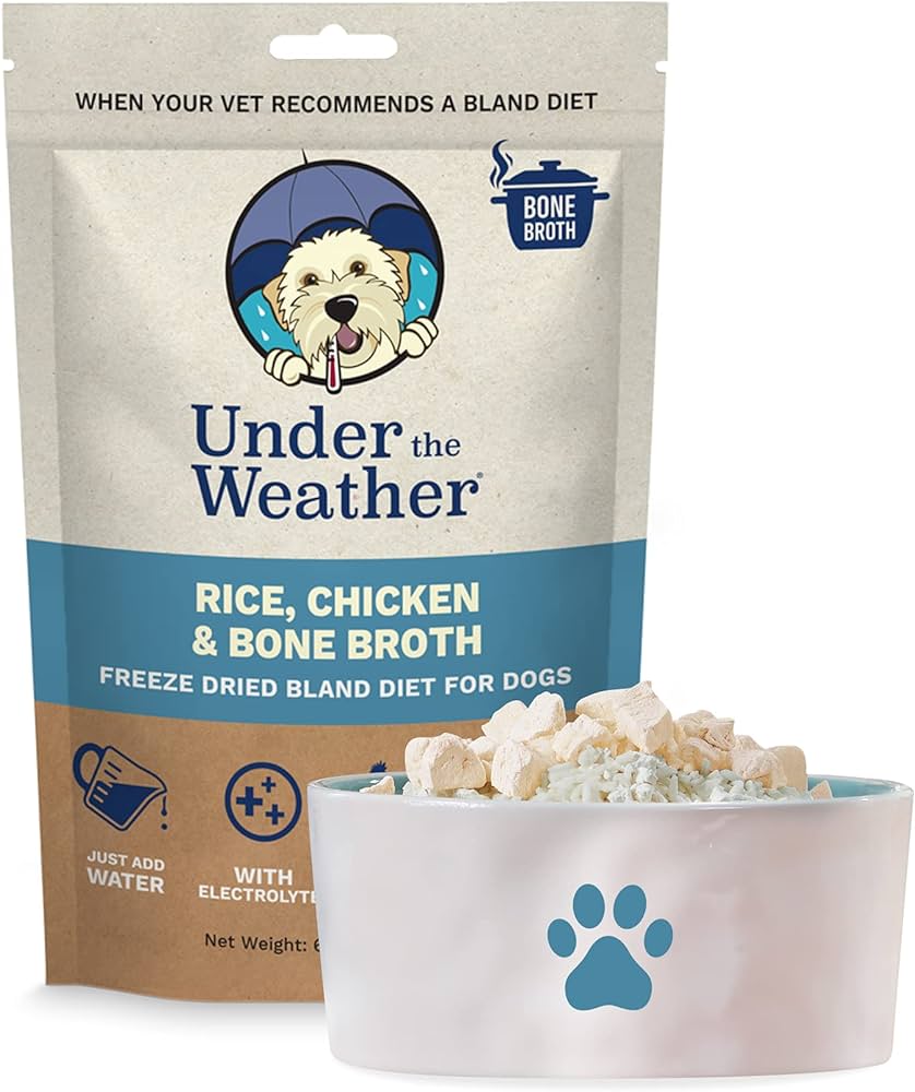 Dog Food for Sick Dogs: Easy-to-Digest Options!