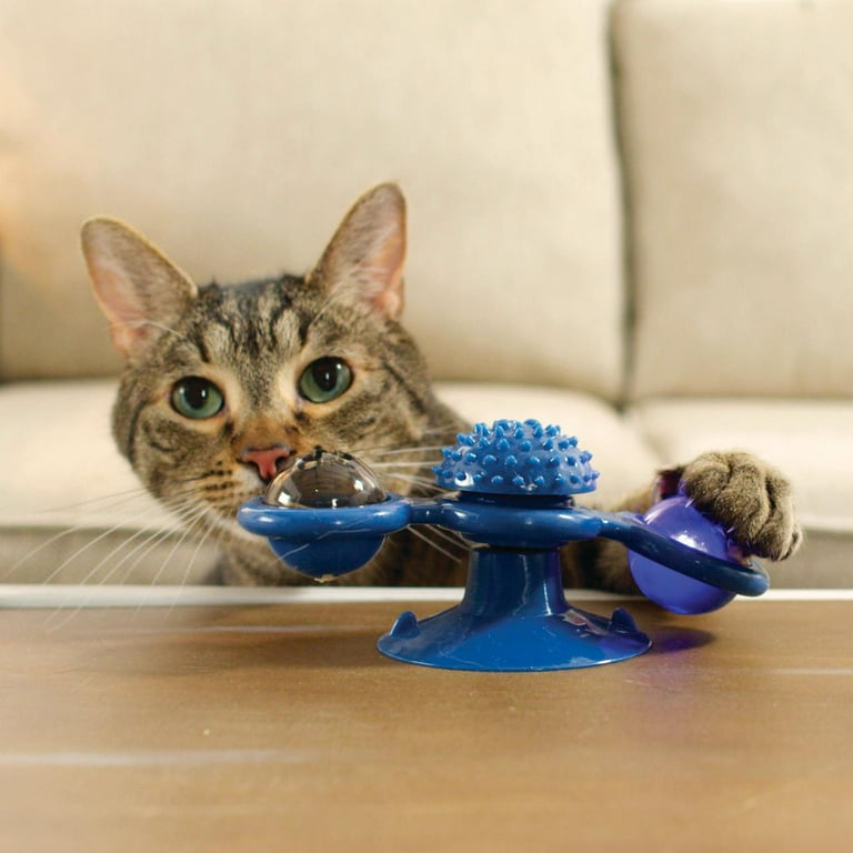 Spoil Your Kitty: The Best Choice about Choosing a Safe Purrfect pets toy