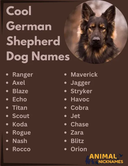 Unique & Cool Dog Names: German Shepherd Owners Must See