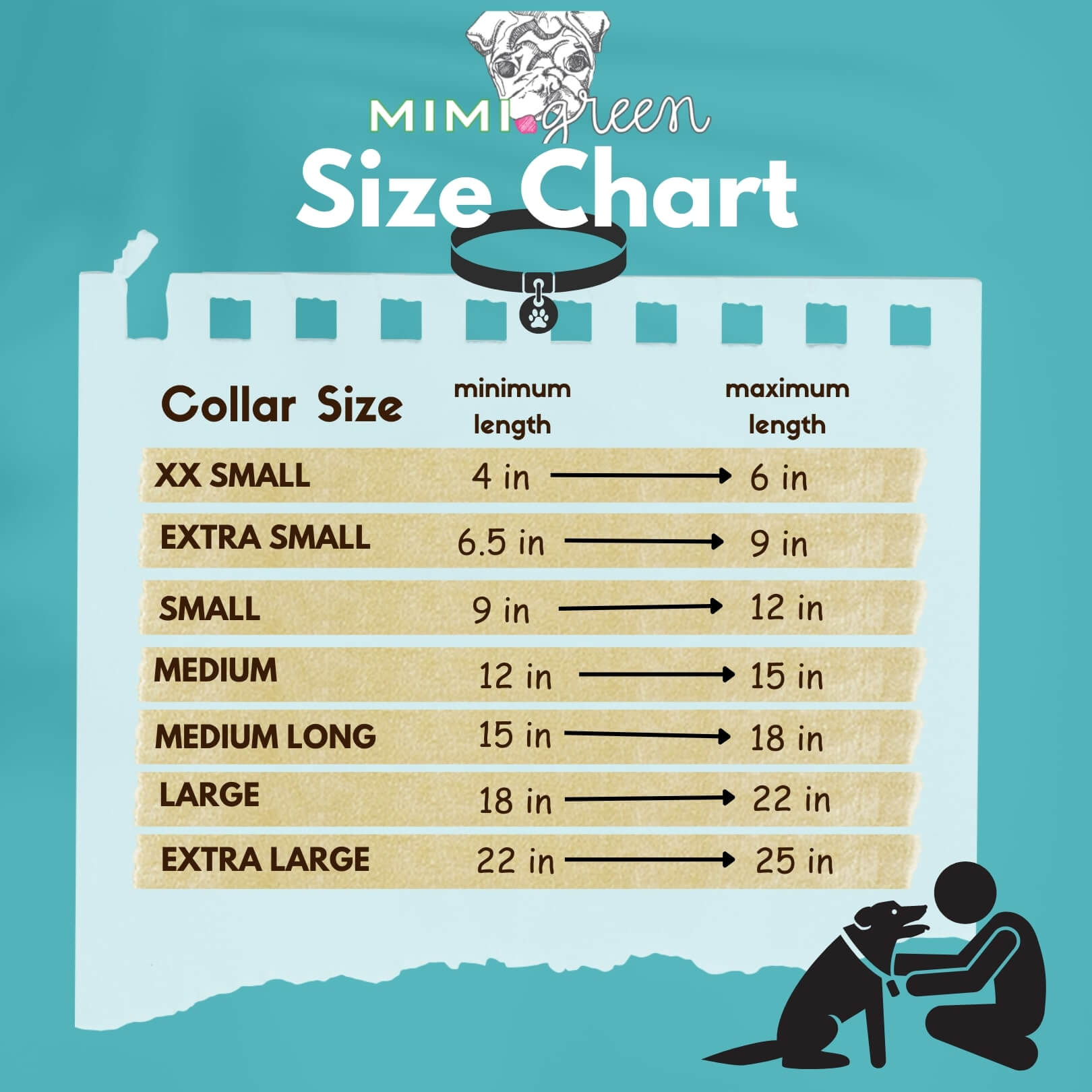 Finding the correct corgi neck size: Avoid common mistakes with these tips.