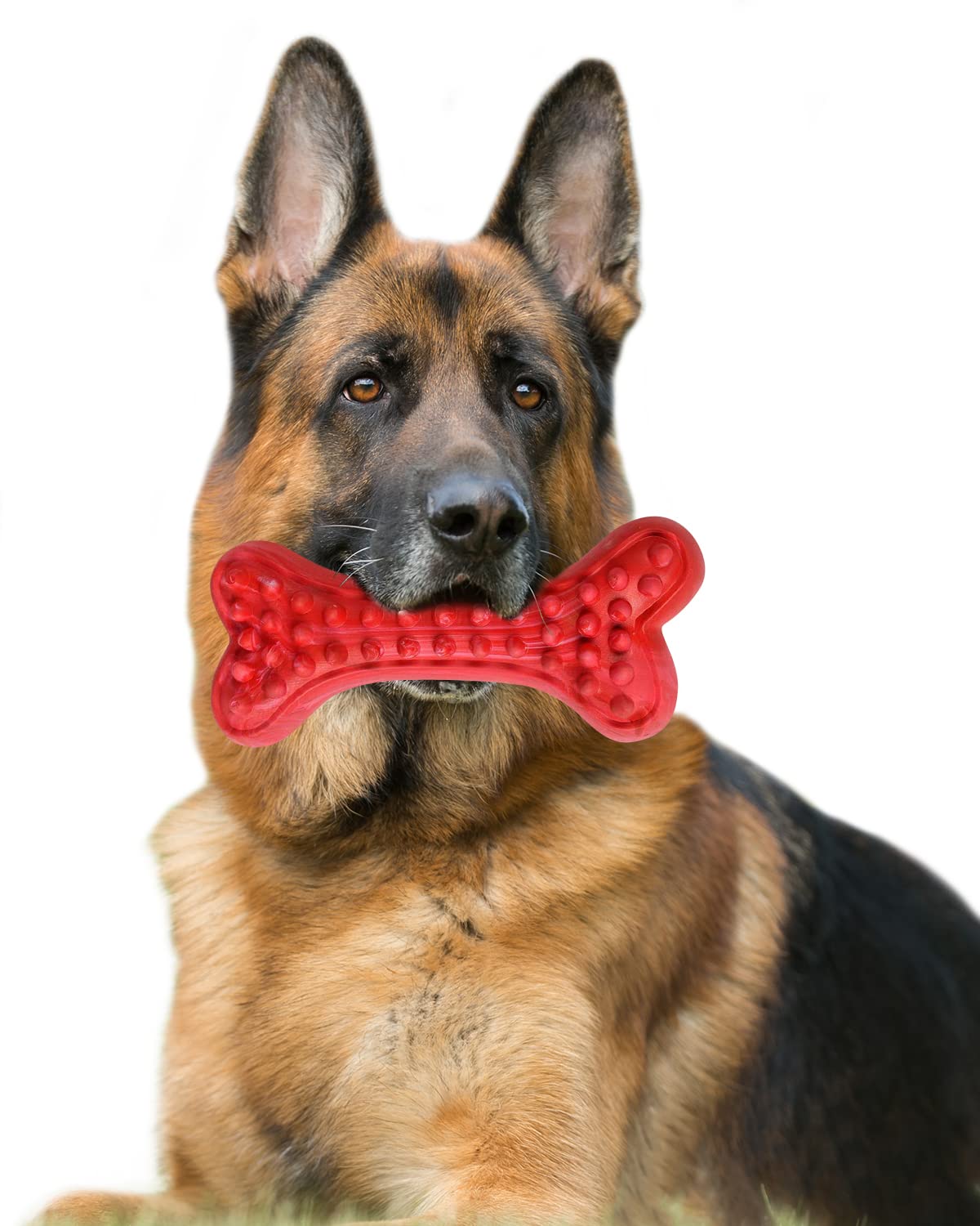 Best German Shepherd Puppy Toys: Top Picks for Fun!