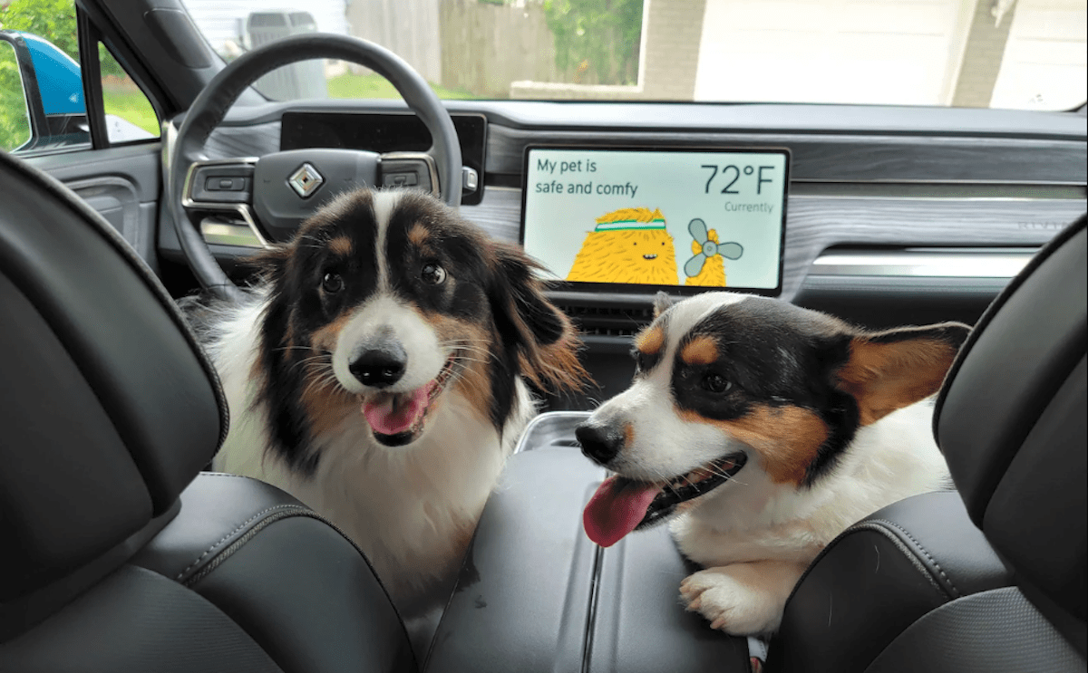 Choosing the right car pet air conditioner? Consider these key features for maximum pet comfort in the car.