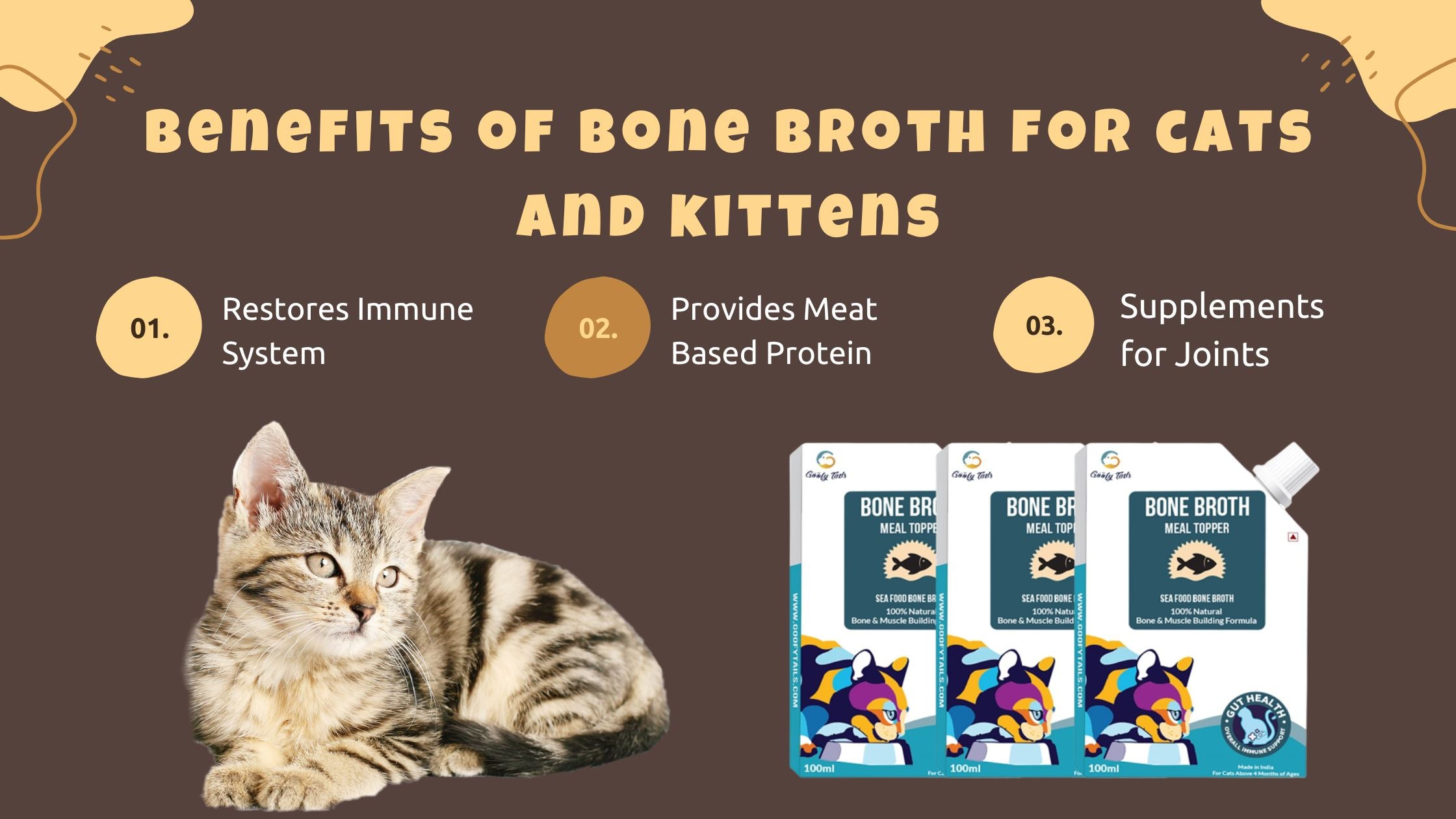 Broth Cat Food: Is Broth Healthy for Your Cat?