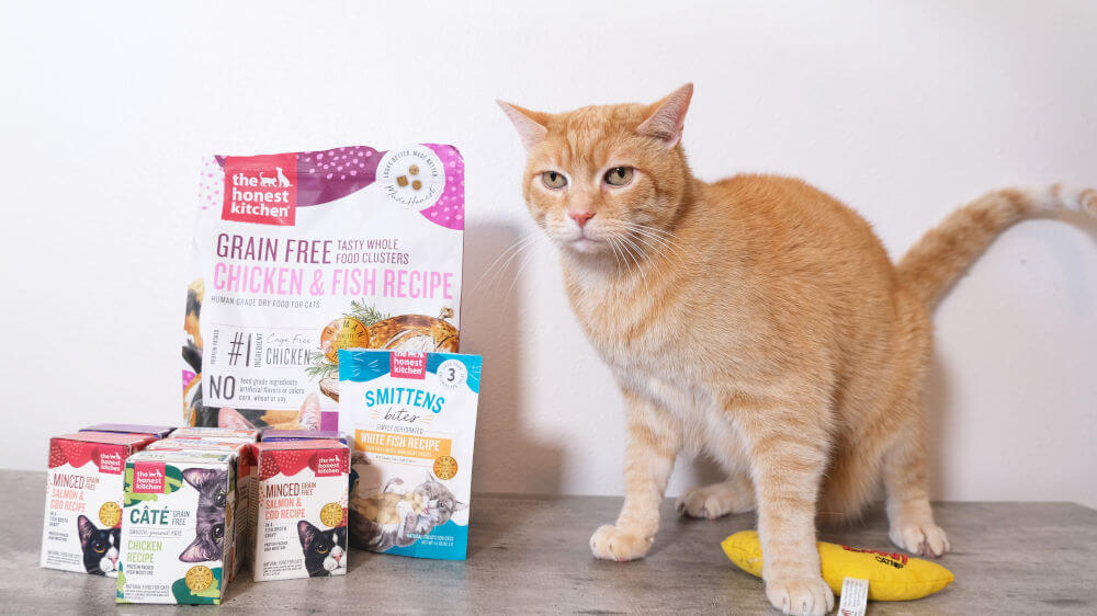 See honest high life cat food reviews from users