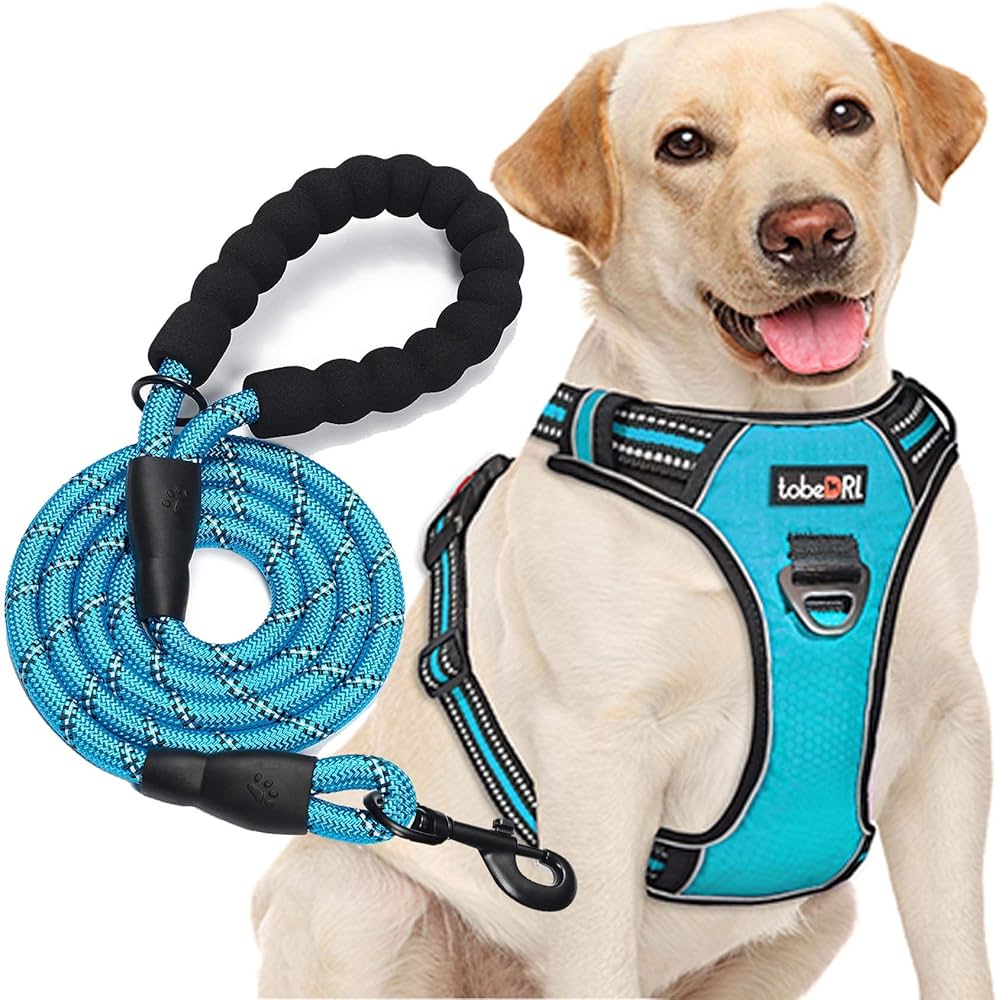Where to Buy a Good Rope Harness Dog? Top Picks for a Durable and Comfortable Rope Harness Dog.