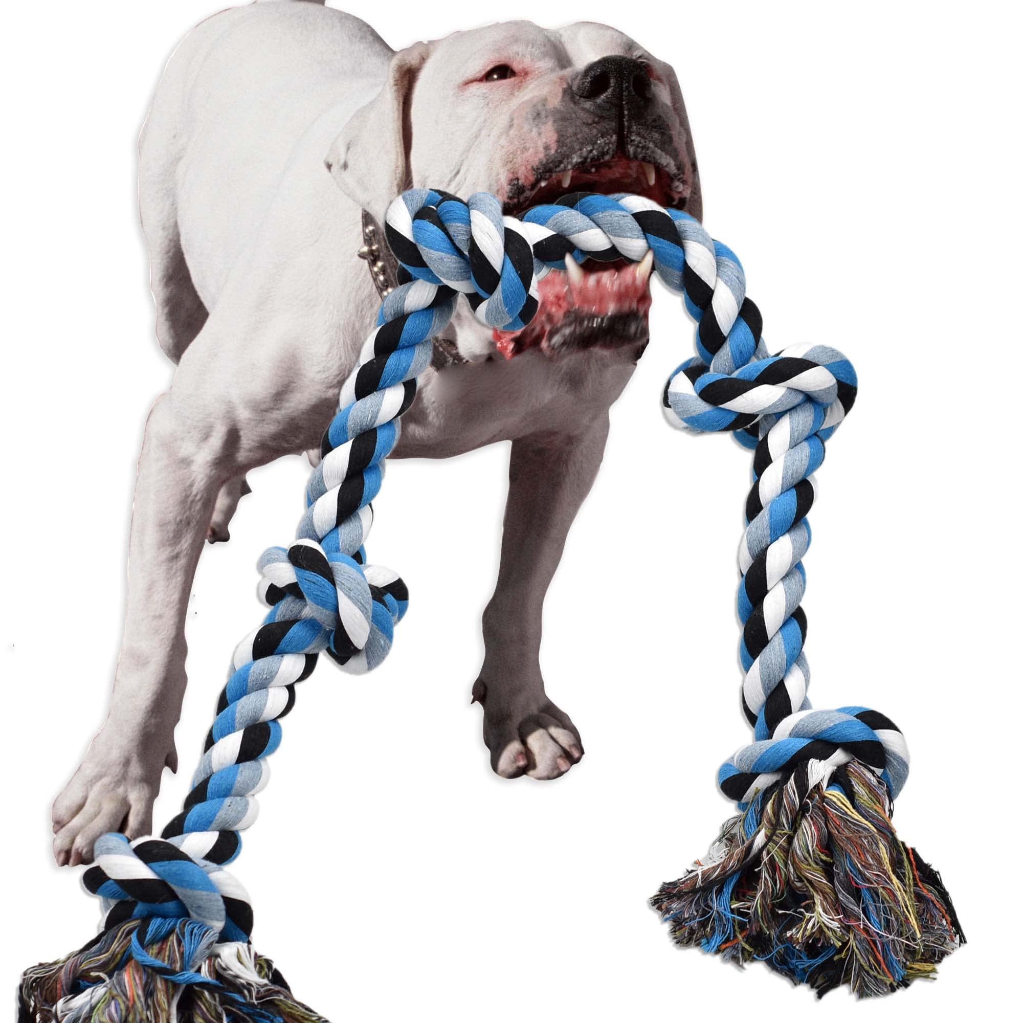 Are Dog Chew Ropes Good for Your Dogs Teeth? Discover the Benefits and Top Picks Here.