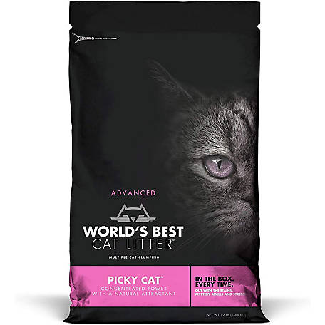 Cat Litter for Picky Cats: Reviews & Recommendations