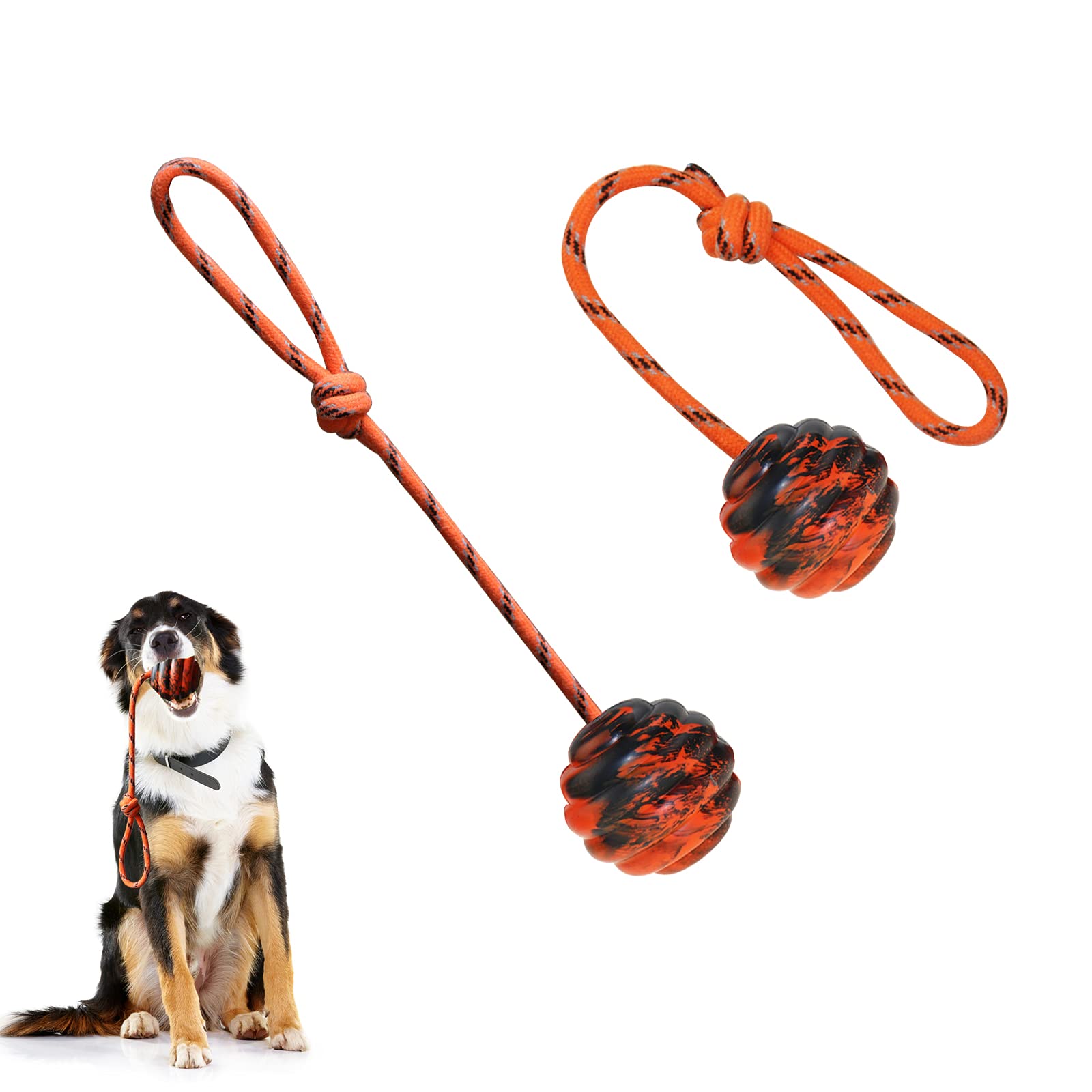 Best dog ball on rope? Check out these top choices for happy fetching!