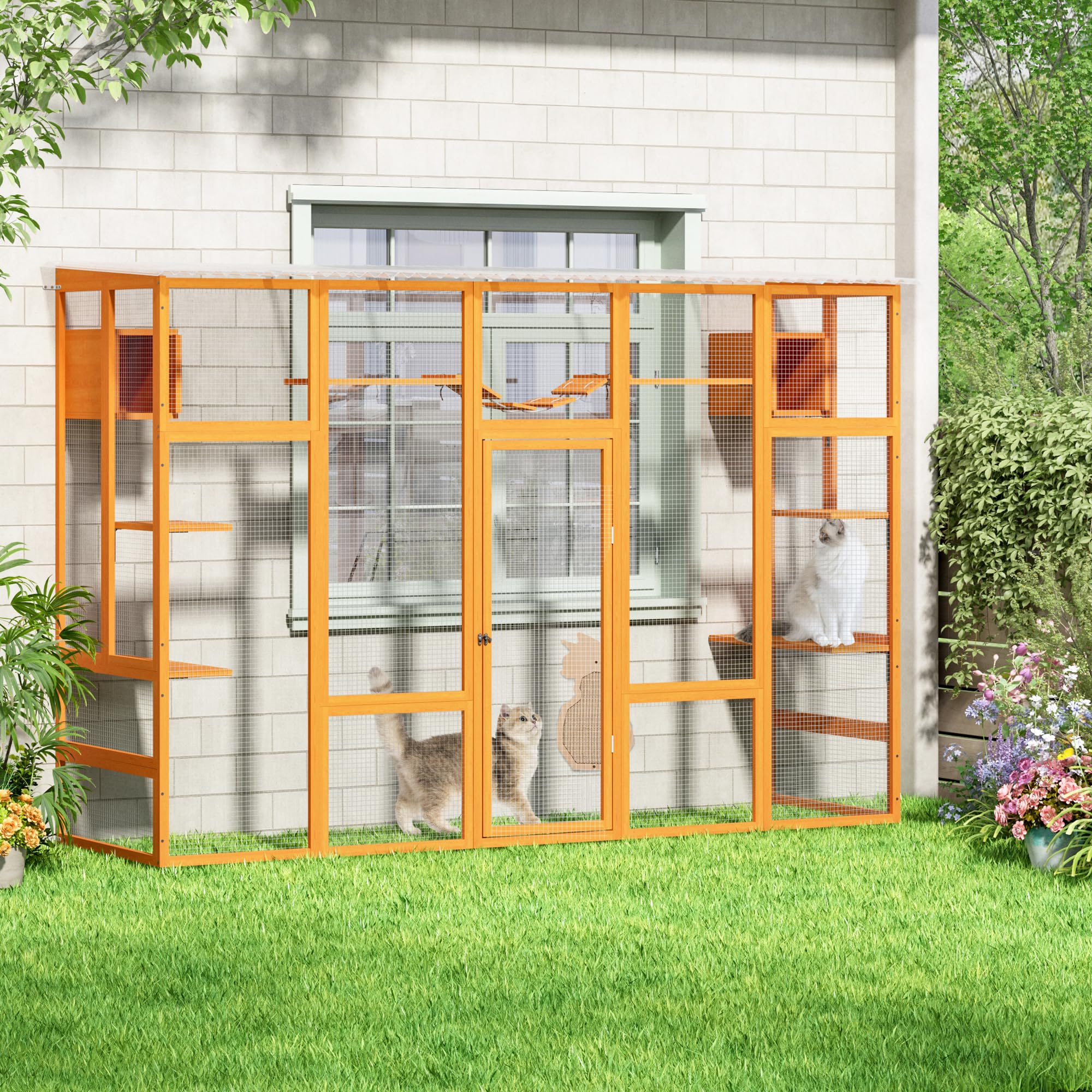 Cattery Pens: Find the Best Cat Enclosures for Sale