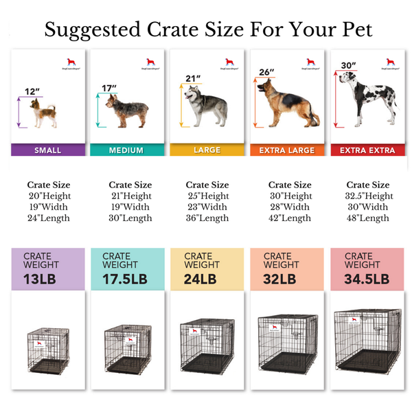 Choosing the Right Kennel Size for Your Beagle