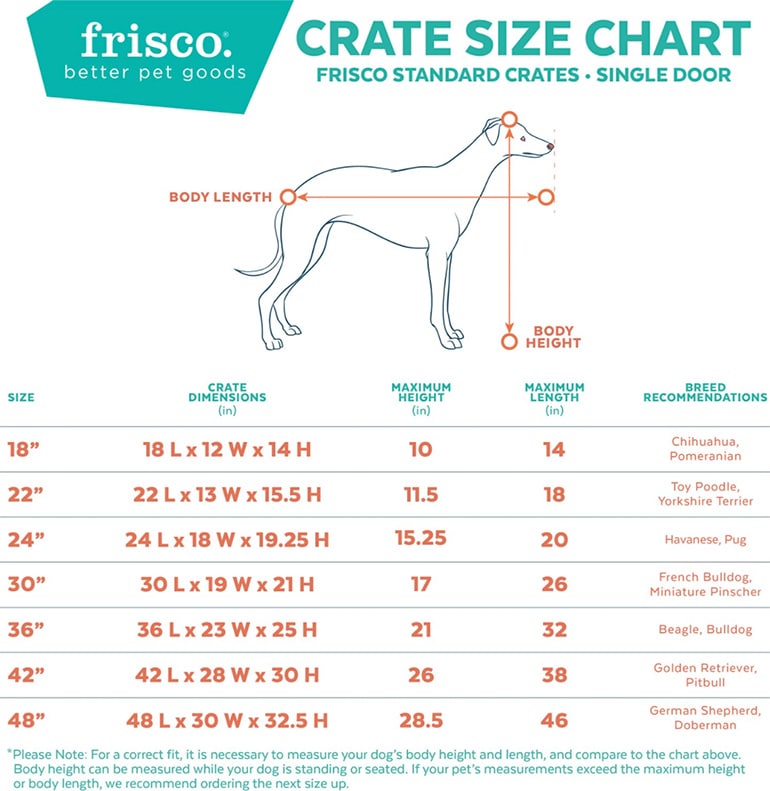 Labrador Retriever Crate Size: A Simple Guide to Choosing Right