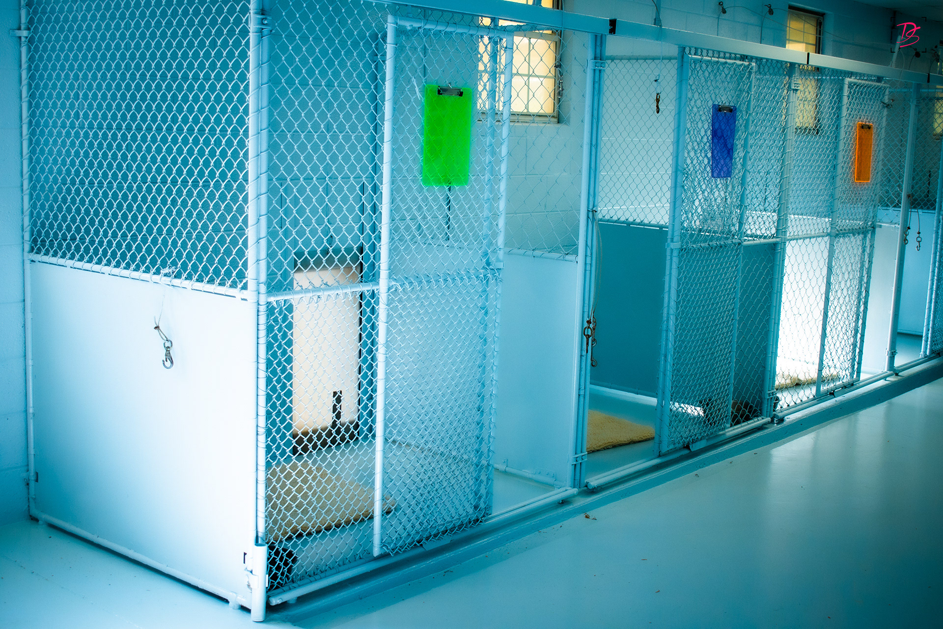 How much does Hunt Club Kennel and Cattery charge? Find out about their simple pricing plans.