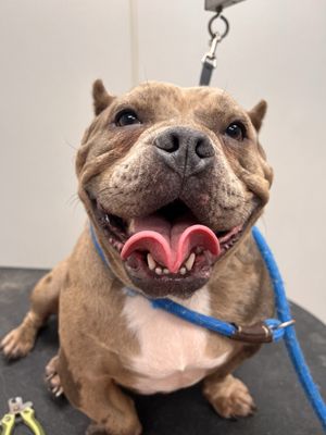 Where is Care A Lot Pet Supply Newport News located? Find store hours and easy directions today.