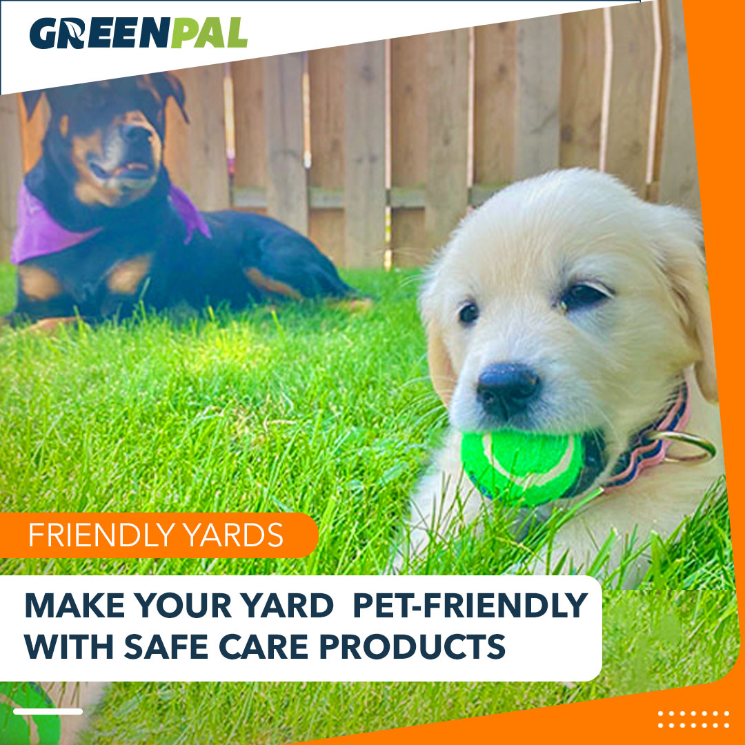 Is pet friendly weed and feed for lawns truly safe? Key things every concerned pet owner must know first.