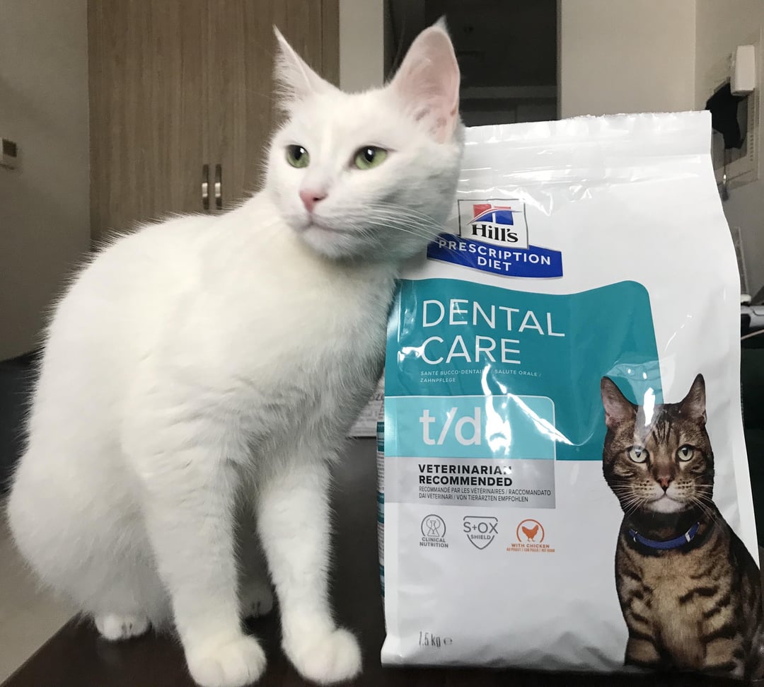 My cat refuses a new cat food packet, what should I do? Tips for introducing different wet foods.