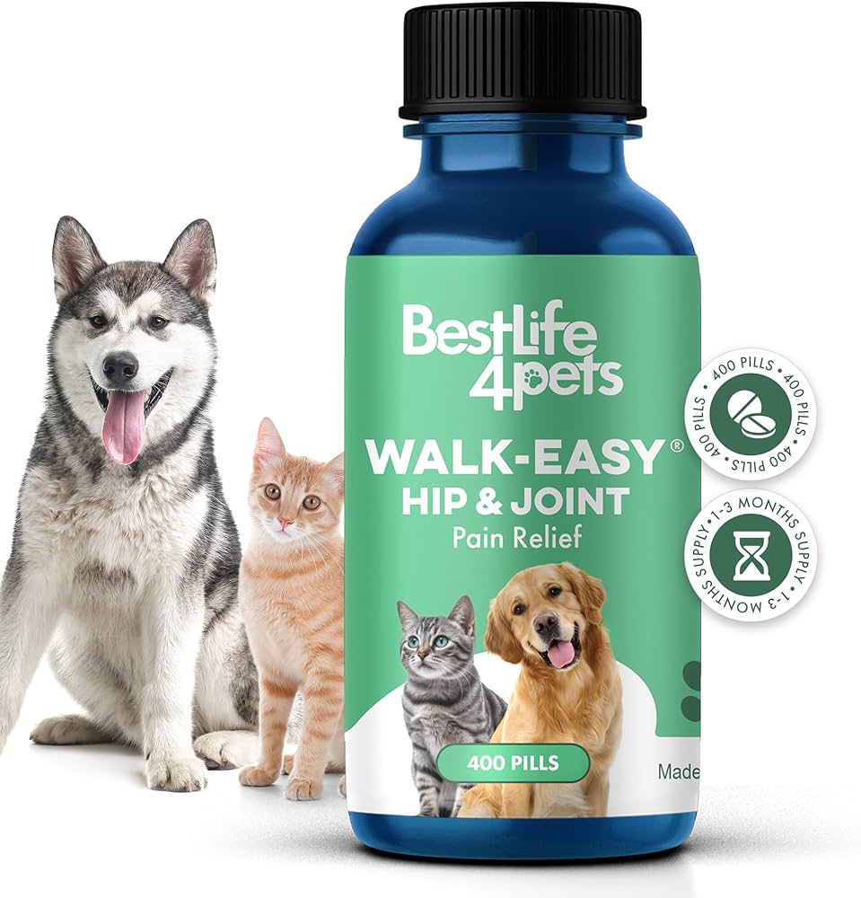 Dog Joint Pain Relief: Do Pills for Dogs Joints Really Work?