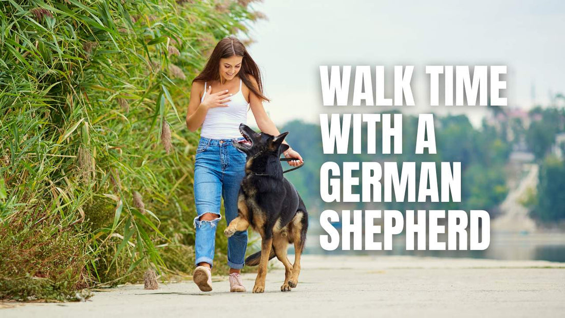 How Far to Walk a German Shepherd a Day? Expert Advice