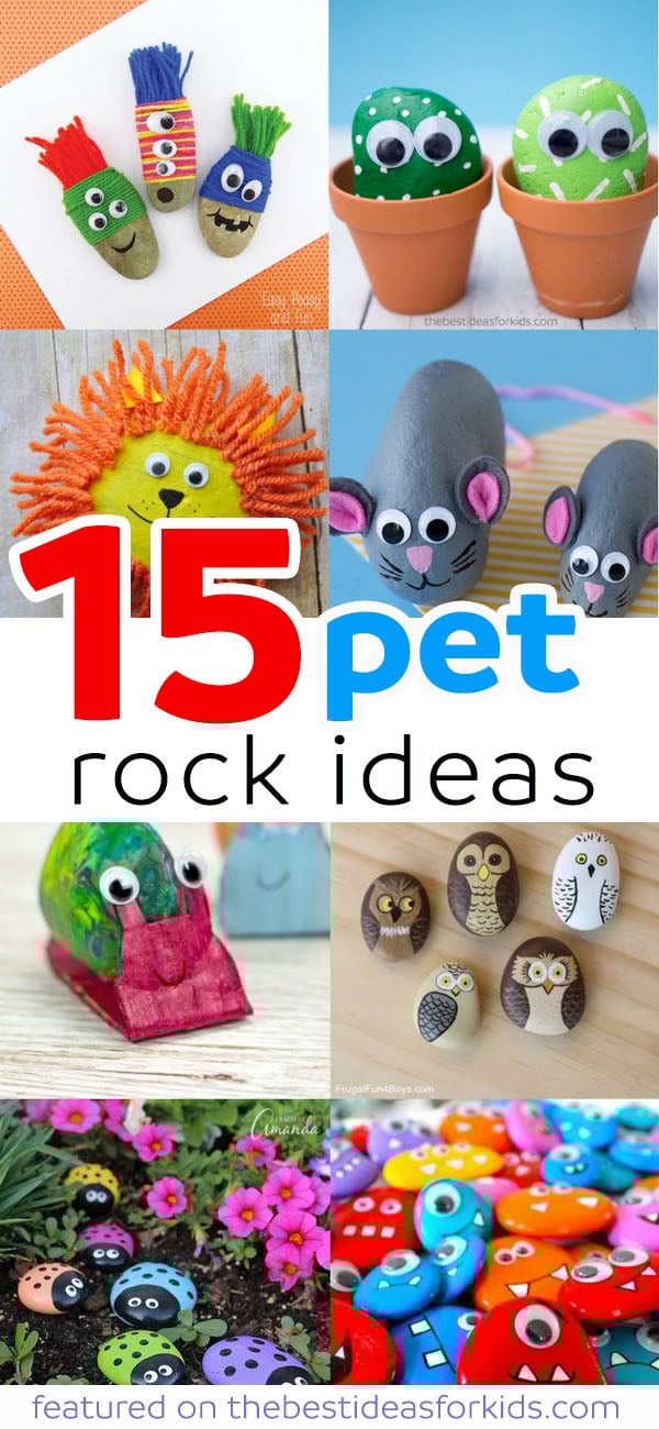 How do you choose fun pet rock supplies? Get inspired with these cool accessory ideas.