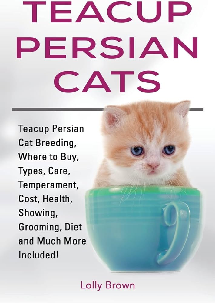 Where to find teacup persian cats? (Easy tips to locate reputable sellers)