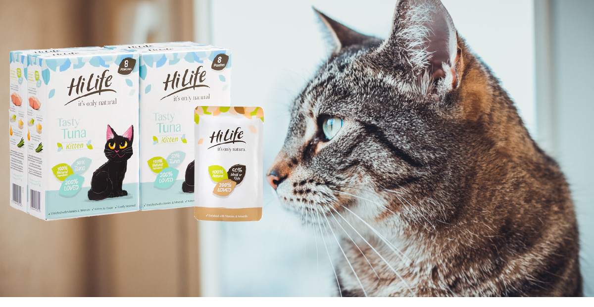 See honest high life cat food reviews from users