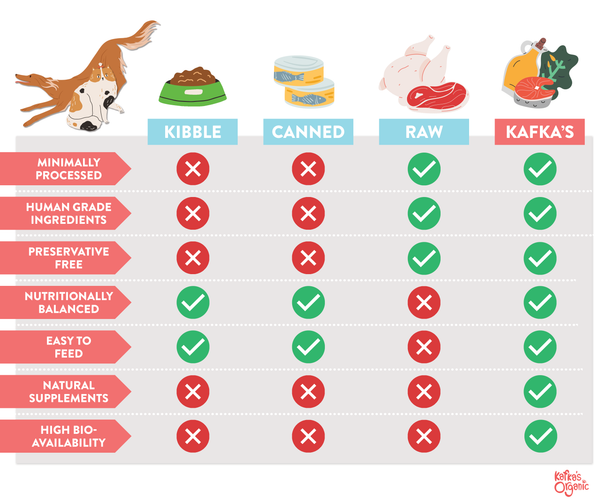 How do prairie pet food ingredients compare to others? A helpful look to help you pick the best option.
