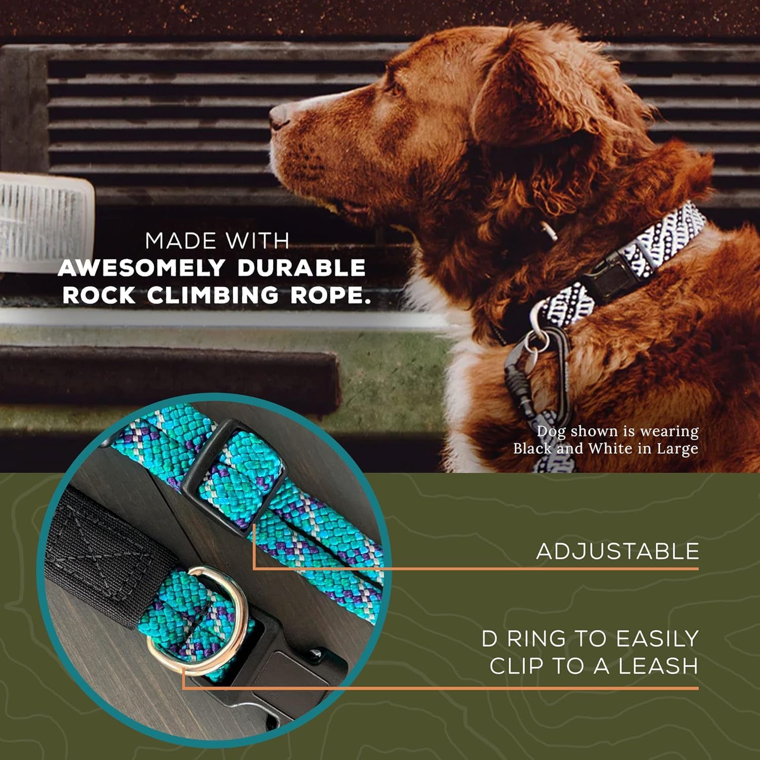 Where to buy the best dog collar rope? We review top picks for quality and style.