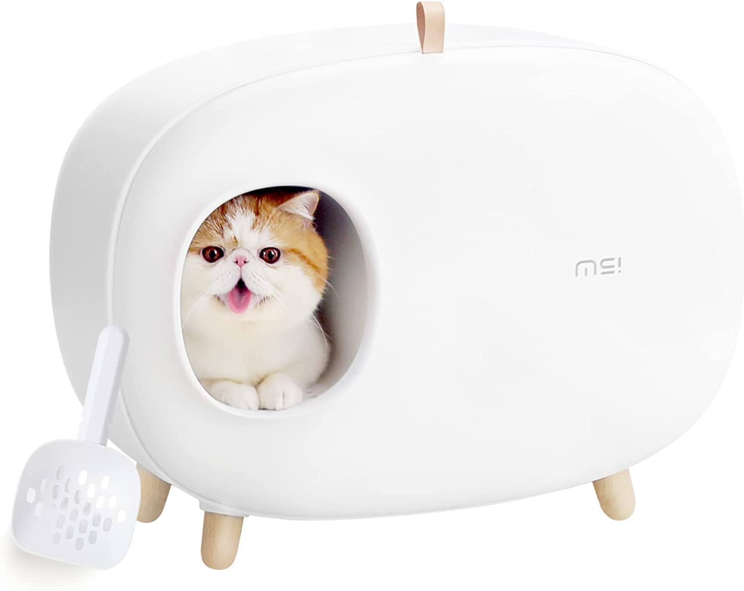 Ms Cat Litter Box: The Purrfect Choice for Your Feline!
