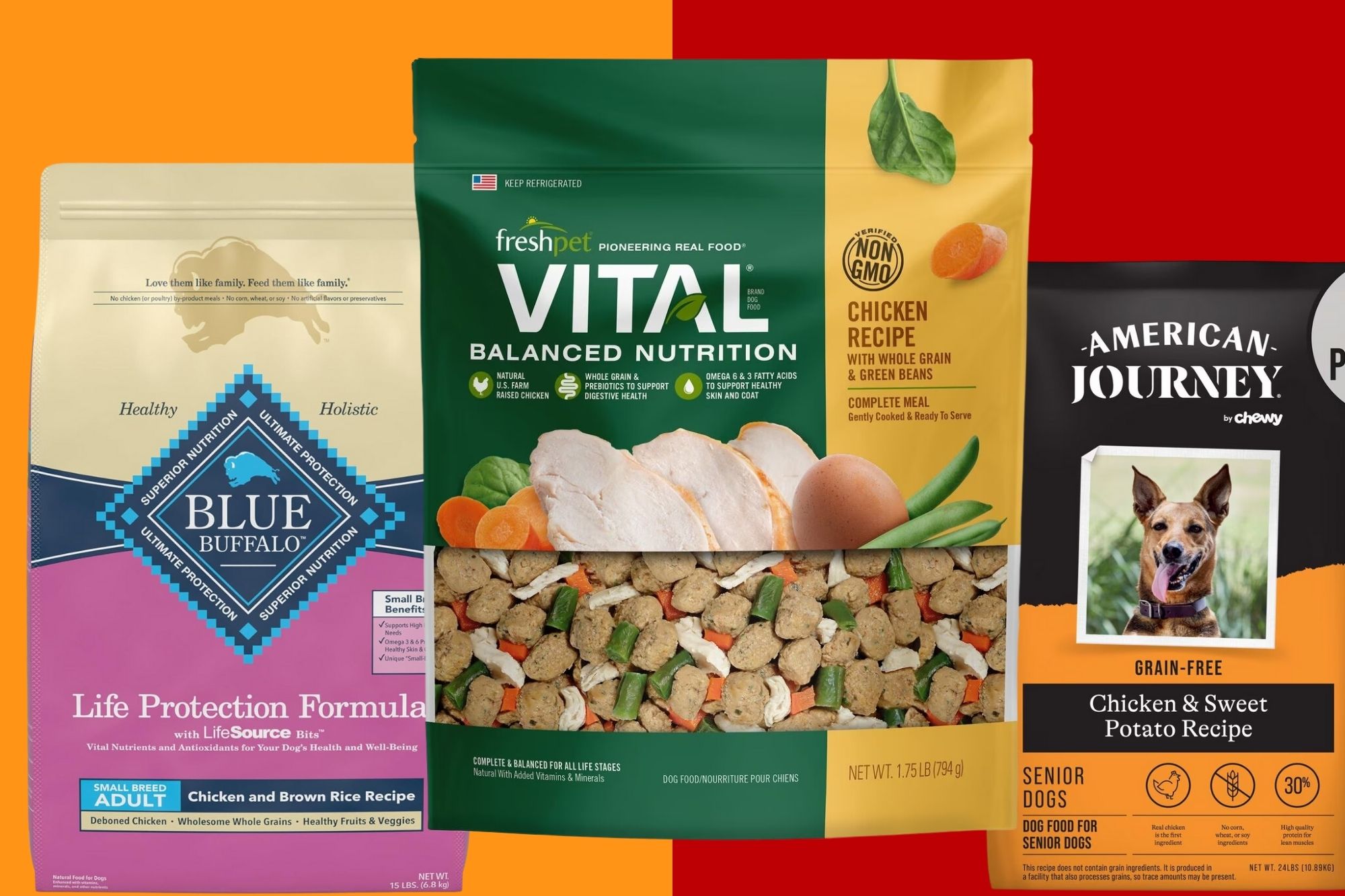 What is the best recovery dog food? Discover top vet recommended brands for sick dogs.