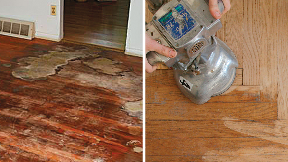 Quick Guide: Cleaning Pet Stains on Wood Floors Now