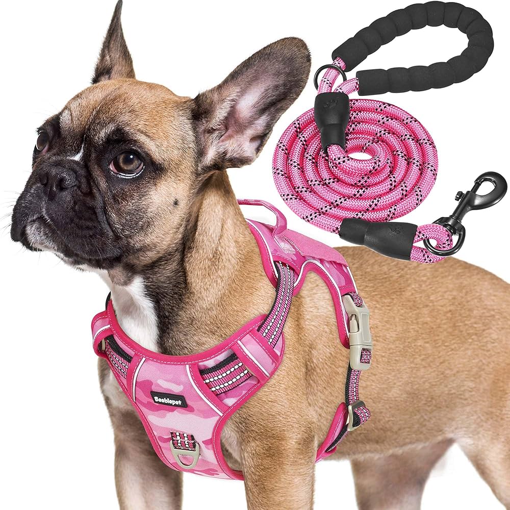 Need a durable rope harness for dogs that pull? Check out these strong options for control.