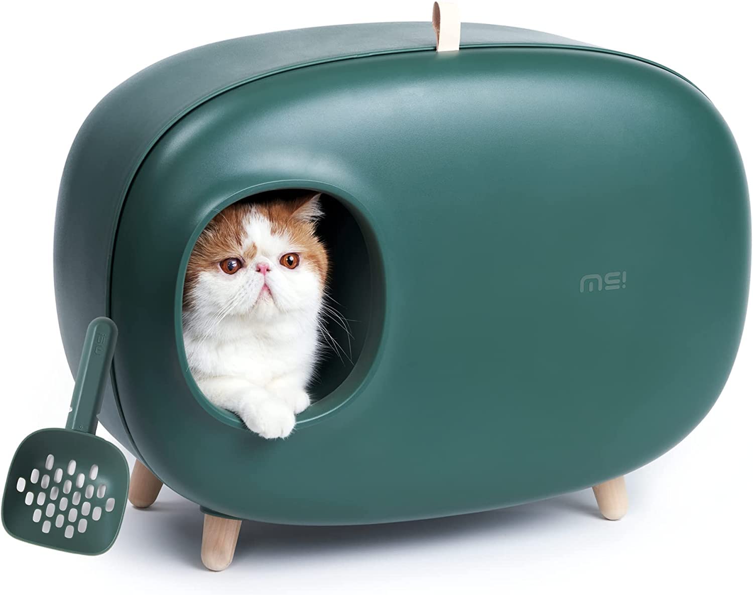 Thinking of buying an ms cat litter box? (Read this first to make the perfect choice!)