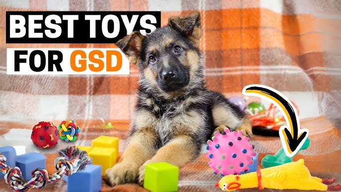 Confused about the best german shepherd puppy toys? We break down the top choices for training.