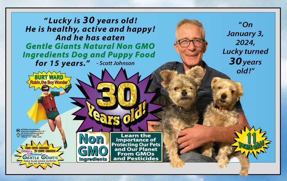 Why pick gentle giants pet food? Discover the best nutrition for your large breed dog.